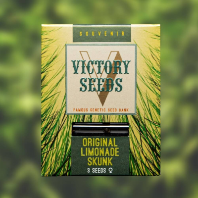 Victory Seeds - Original Limonade Skunk