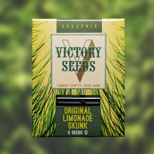 Victory Seeds - Original Limonade Skunk