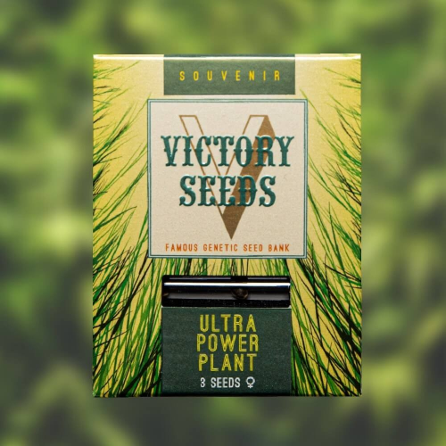 Victory Seeds - Ultra Power Plant