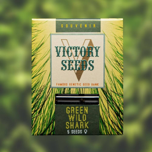 Victory Seeds - Green Wild Shark