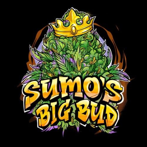 Sumo Seeds - Sumos Big Bud