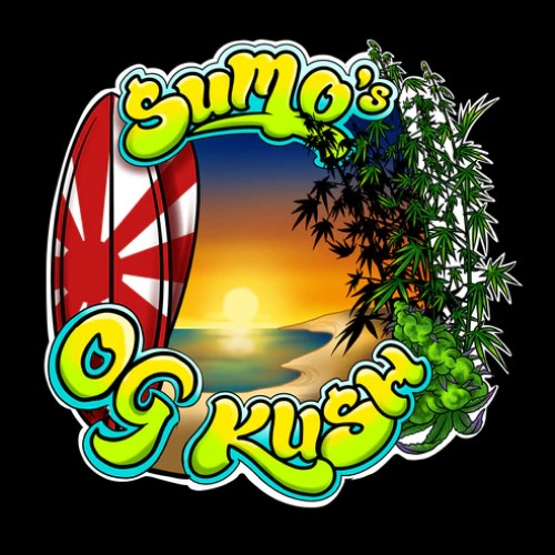 Sumo Seeds - Sumos OG Kush