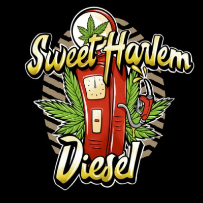 Sumo Seeds - Sweet Harlem Diesel