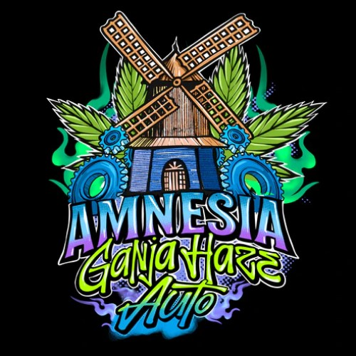 Sumo Seeds - Amnesia Ganja Haze Auto