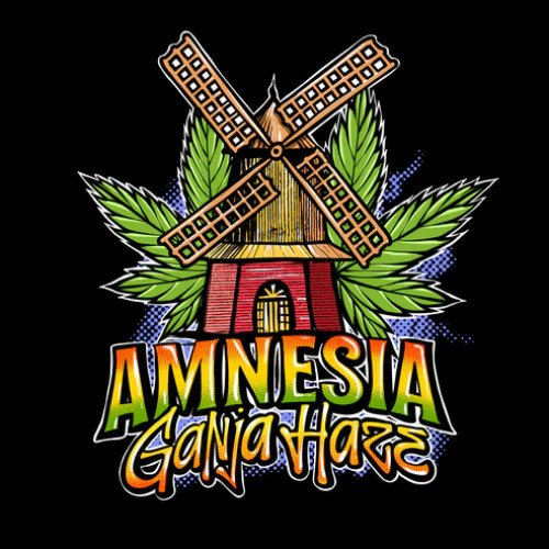 Sumo Seeds - Amnesia Ganja Haze