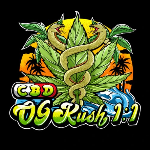 Sumo Seeds - CBD OG Kush 1:1