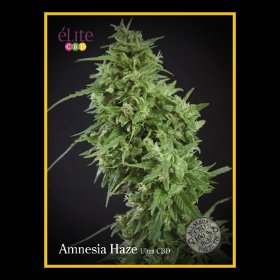 Élite Seeds - Amnesia Haze Ultra CBD