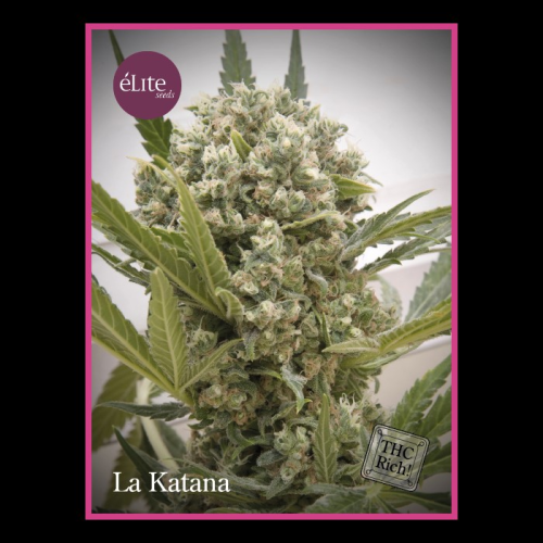 Élite Seeds - La Katana