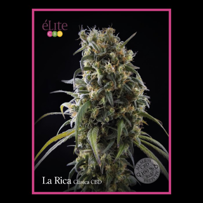 Élite Seeds - La Rica CBD