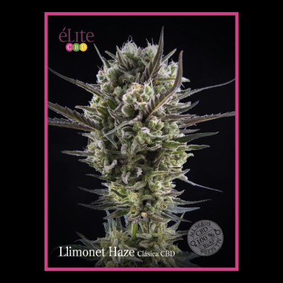 Élite Seeds - Llimonet Haze CBD