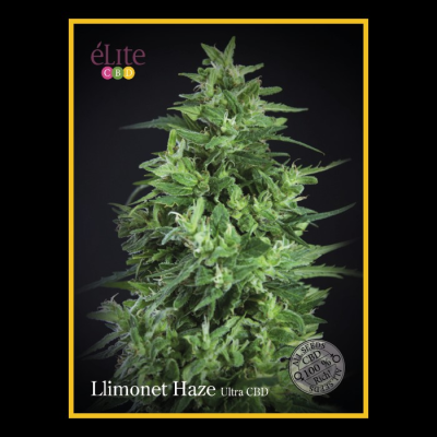 Élite Seeds - Llimonet Haze Ultra CBD