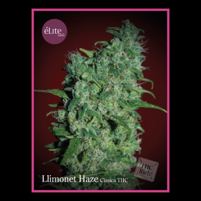 Élite Seeds - Llimonet Haze
