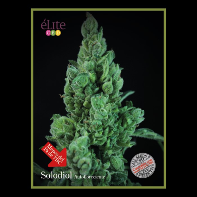 Élite Seeds - Solodiol Auto CBD