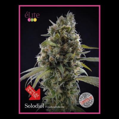 Élite Seeds - Solodiol CBD