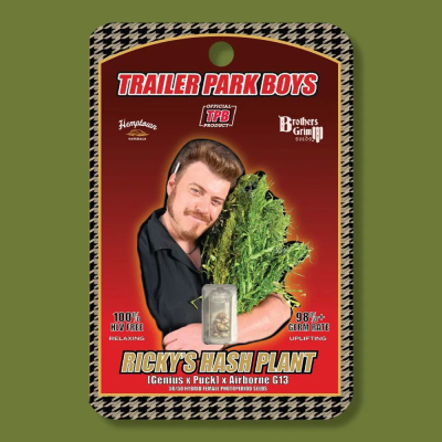 Brothers Grimm Seeds - Rickys Hash Plant (Trailer Park Boys Collab)