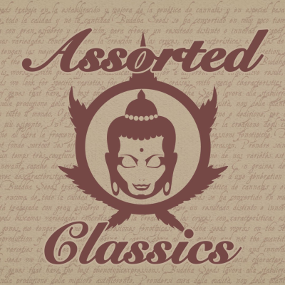 Buddha Seeds - Assorted Classics