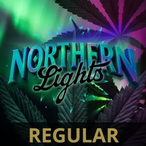 Barney´s Farm - Northern Lights regular