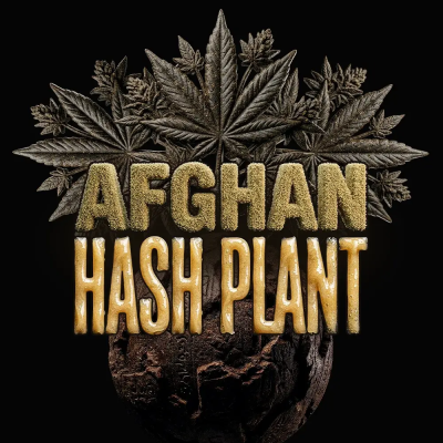 Barney´s Farm - Afghan Hash Plant Auto