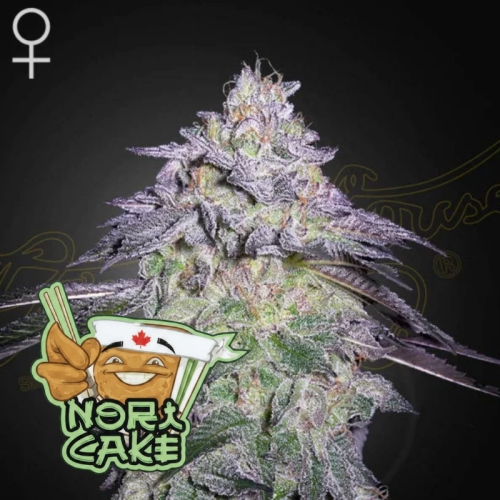 Green House Seed - Nori Cake