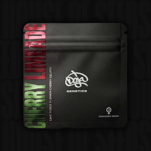 Doja Genetics - Cherry Limeade