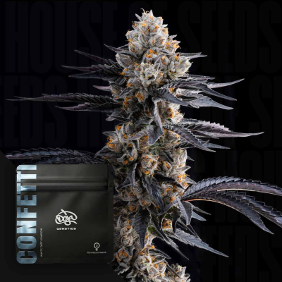Doja Genetics - Confetti