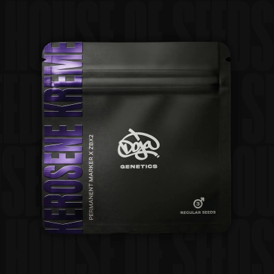 Doja Genetics - Kerosene Kreme regular