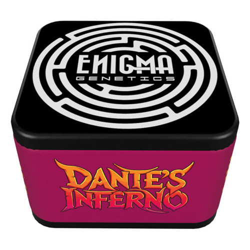 Enigma Genetics - Dantes Inferno