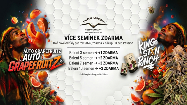 8.10. Akce Dutch Passion: Získejte semínka ZDARMA (do vyprodání zásob)