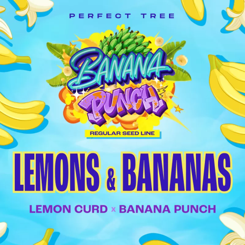 Perfect Tree - Lemons & Bananas regular