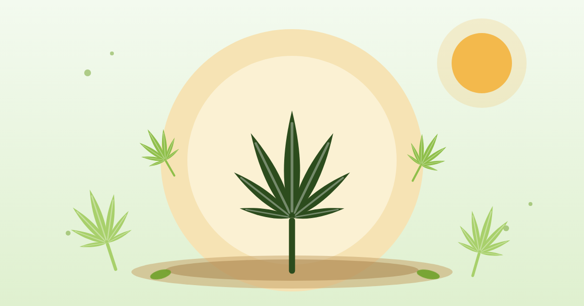 Landrace odrůdy konopí – původní genetika z&nbsp;různých částí světa