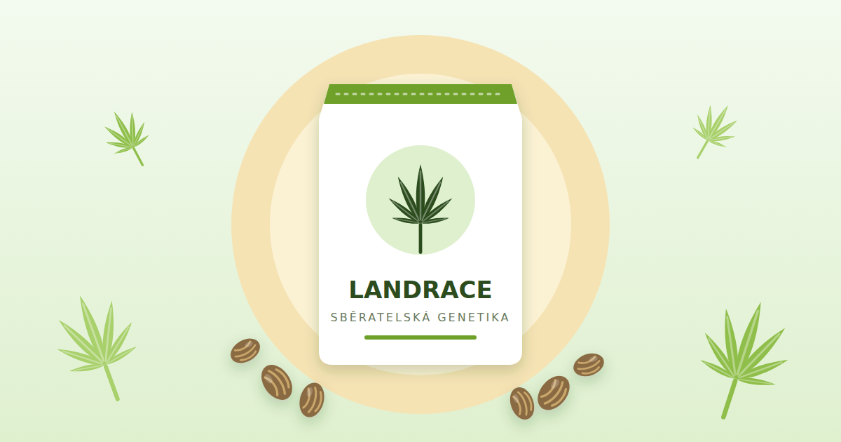 Semínka konopí s&nbsp;landrace genetikou do&nbsp;sběratelské kolekce