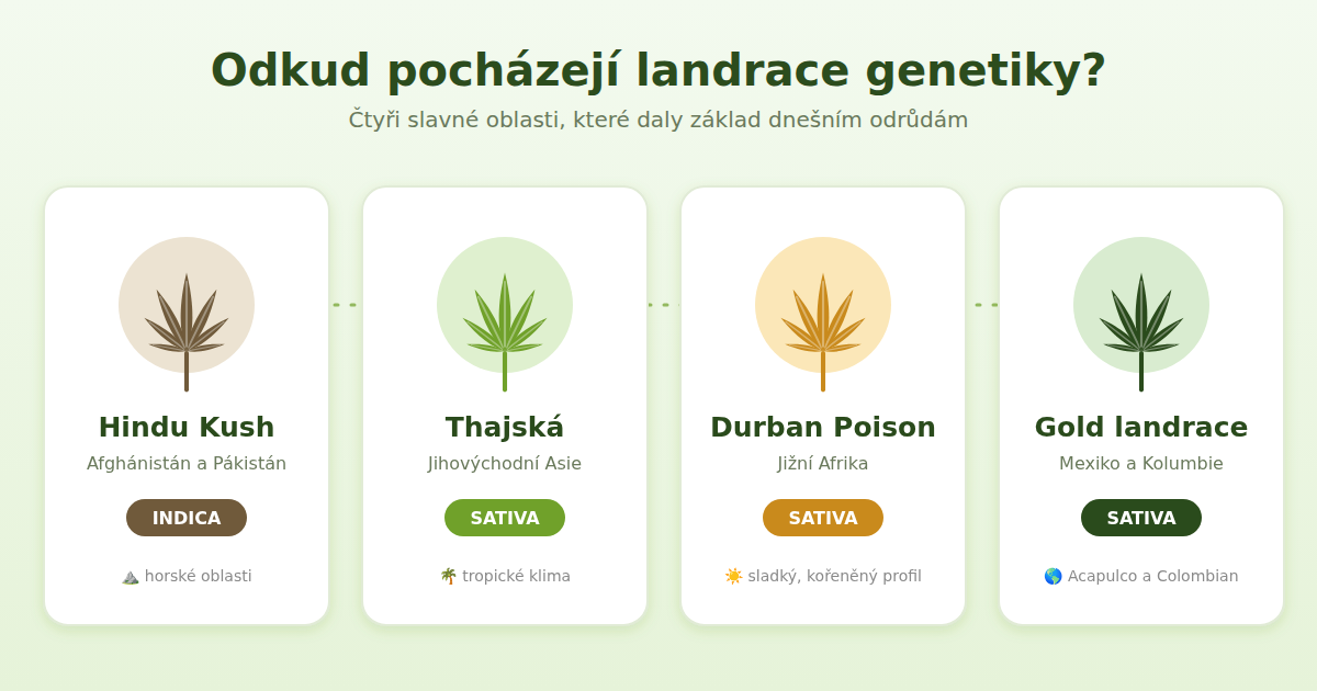 Přehled původu landrace odrůd konopí: Afghánistán, Thajsko, Jižní Afrika, Mexiko a&nbsp;Kolumbie