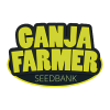 Feminizovaná