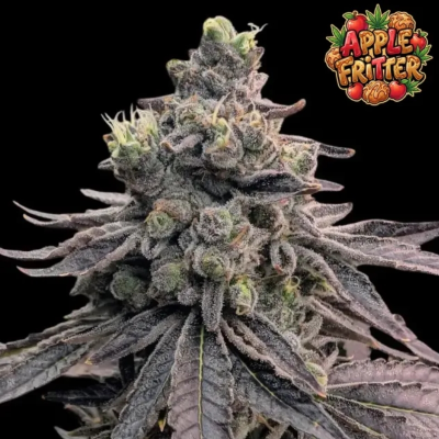 Ganja Farmer - Apple Fritter