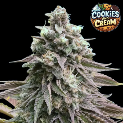 Ganja Farmer - Cookies and Cream