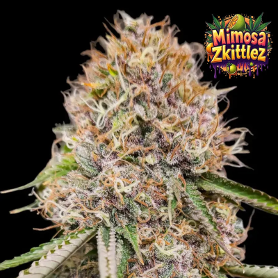 Ganja Farmer - Mimosa Zkittlez Fast