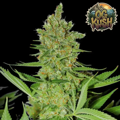 Ganja Farmer - OG Kush Fast